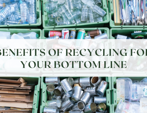 Benefits of Recycling for Your Bottom Line