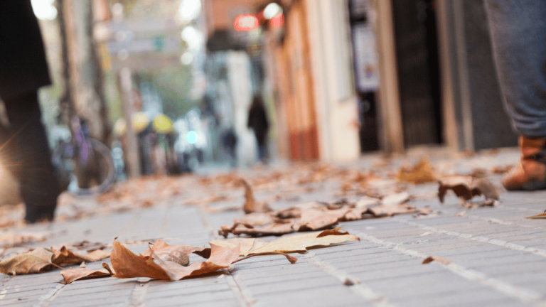 leaves on the sidewalk outside a row of shops. SLM Facility's blog Prepping Your Facility for Fall: A Fall Maintenance Guide